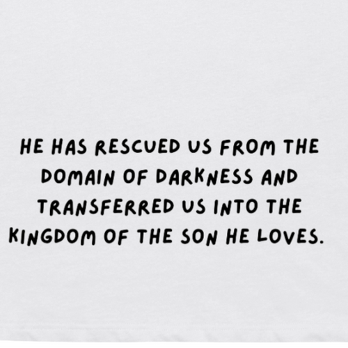 Transfer Student Boxy Tee