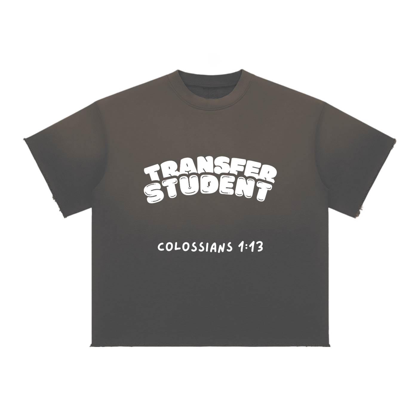 Transfer Student Sun Fade Raw Edge T-Shirt